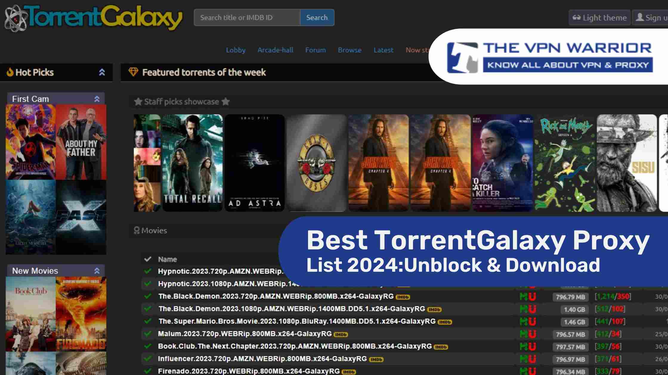 torrent galaxy proxy site_the_vpn_warrior